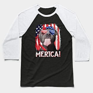 Dog America Baseball T-Shirt